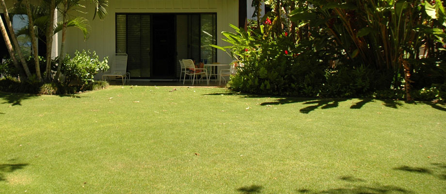 This lawn is a great area for children to play