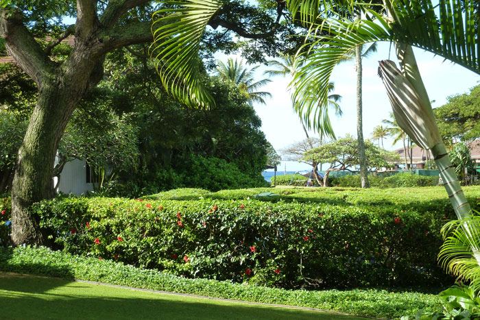 Lagoon and community barbeques are nearby