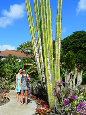 Beautiful Cactus in Historic Moir Gardens